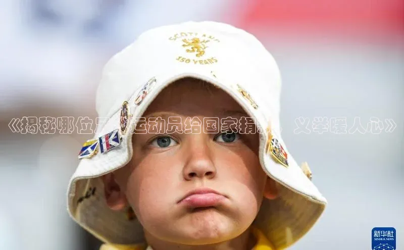 新宝gg平台注册天键股份《揭秘哪位足球运动员给国家捐款，义举暖人心》