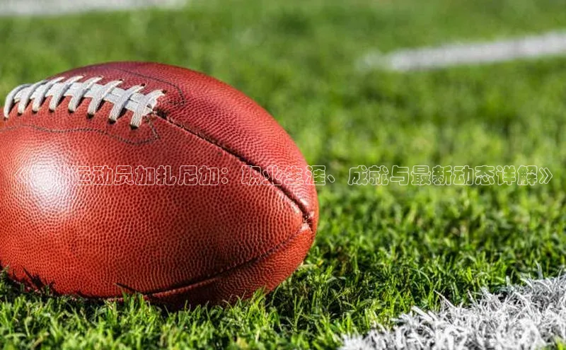 新宝gg官网登录地址百度手机输入法《足球运动员加扎尼加：职业生涯、成就与最新动态详解》