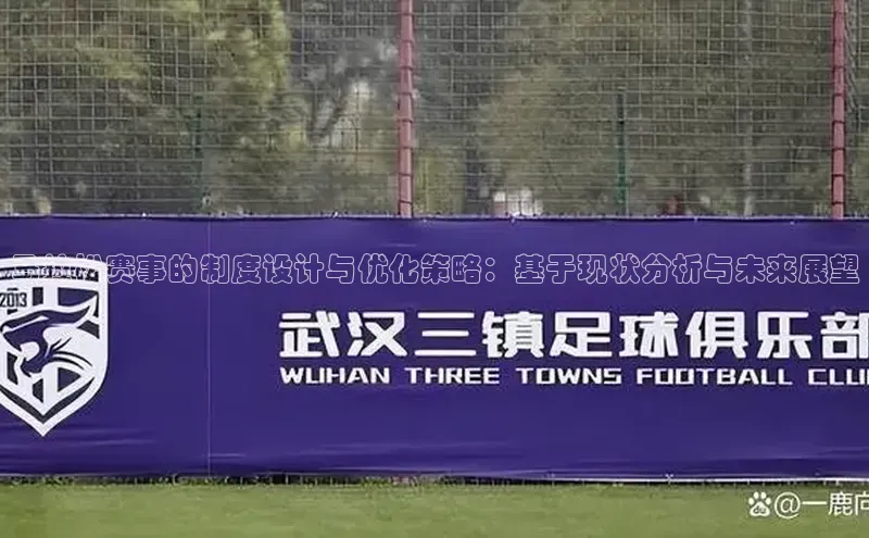 马拉松赛事的制度设计与优化策略：基于现状分析与未来展望