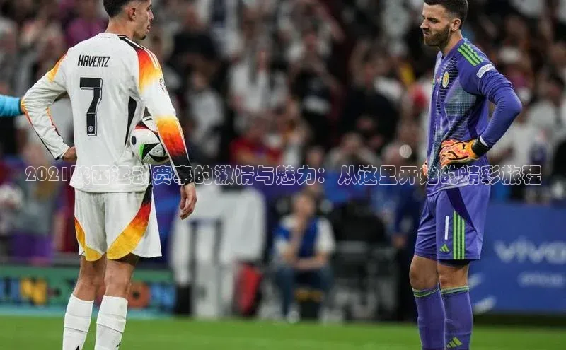 2021陕西运动赛事的激情与魅力：从这里开始的精彩旅程