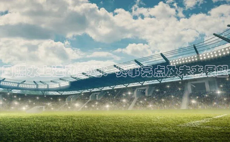 新宝网站登录入口