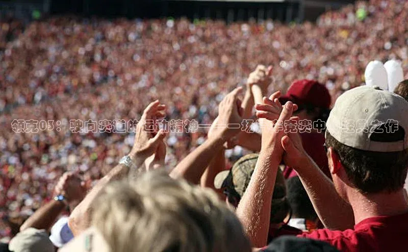 领克03：驶向赛道的运动精神——一场汽车竞赛中的经典之作