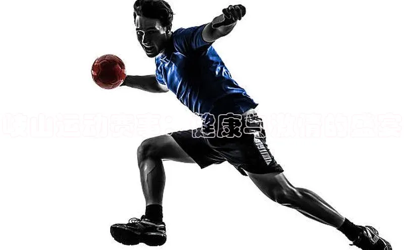 岐山运动赛事：健康与激情的盛宴