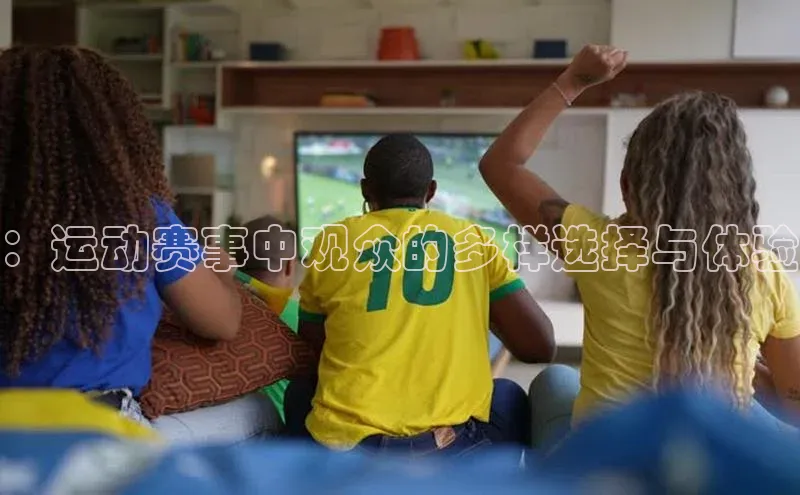 ：运动赛事中观众的多样选择与体验