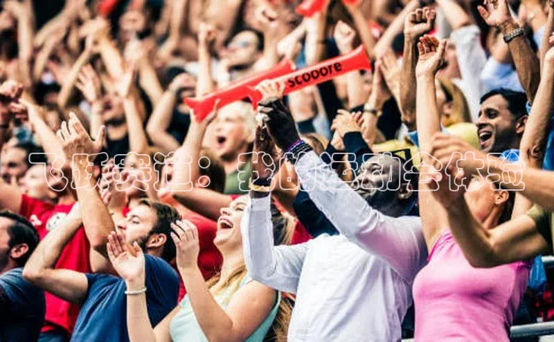 飞跃赛道：我的运动会体验