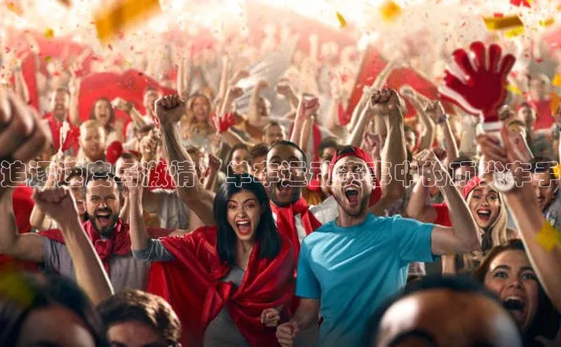 追逐速度与激情：单车运动赛事中的顶尖车手