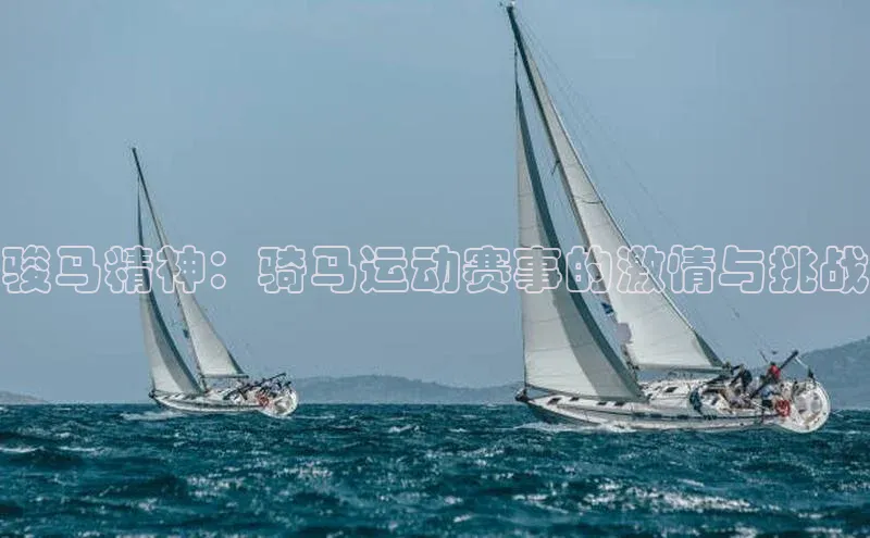 骏马精神：骑马运动赛事的激情与挑战