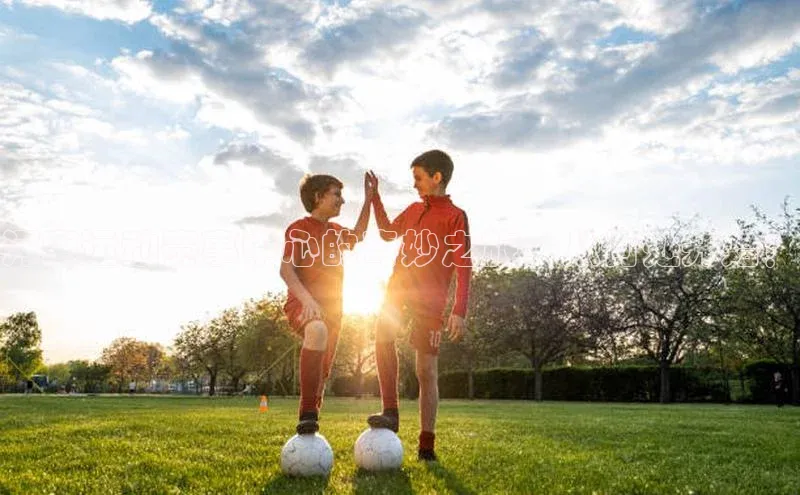 gg网站入口官网