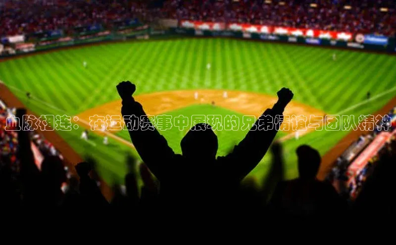 新宝gg官网登录地址