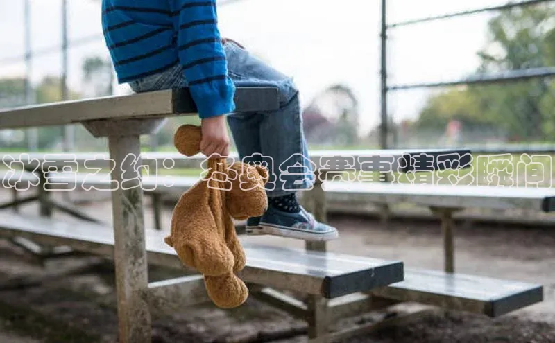 新宝登录app入口手机版