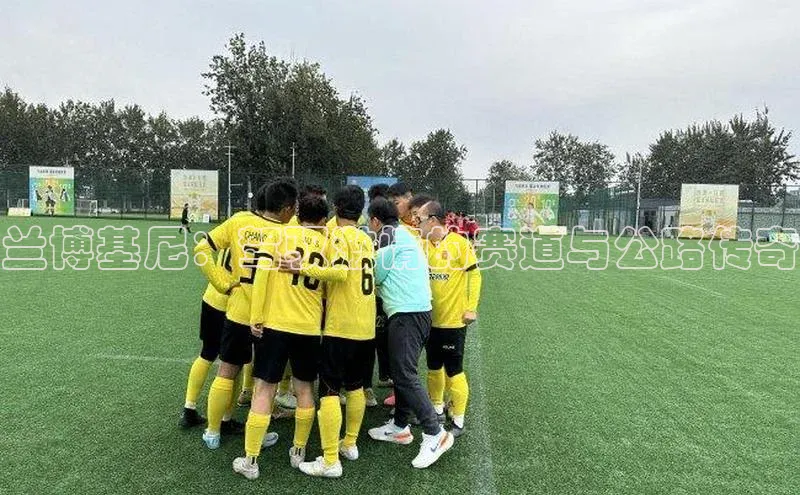 新宝网站登录入口