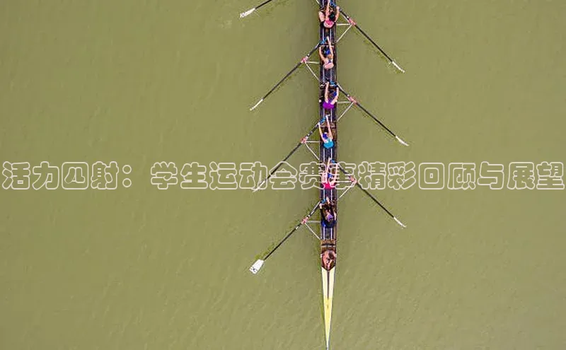 新宝网站登录入口