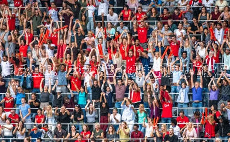 乒乓之道：乒乓球运动赛事的魅力与技巧